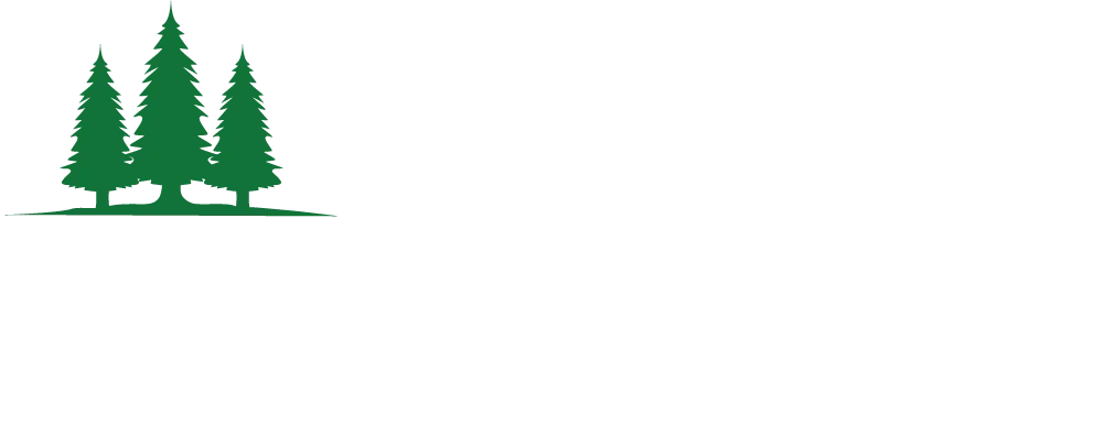 蓝蚁白色logo
